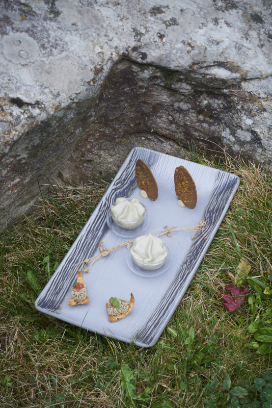 Assiette plate rectangulaire poivre porcelaine culinaire 30,2x15,3 cm Arborescence Revol