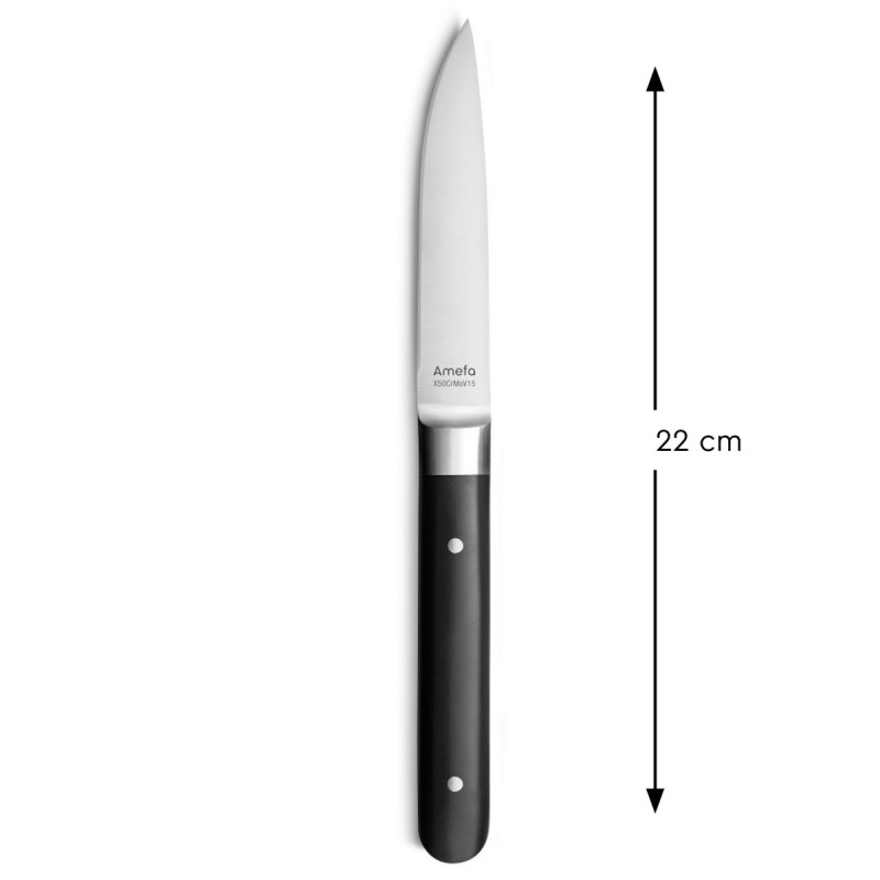 Couteau à steak noir 22 cm Alto Pro.mundi