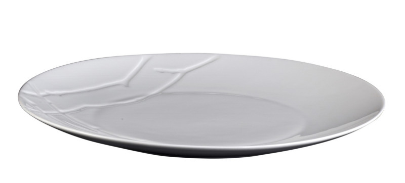 Assiette coupe plate rond blanc porcelaine vitrifiée Ø 22 cm Brushwood Astera