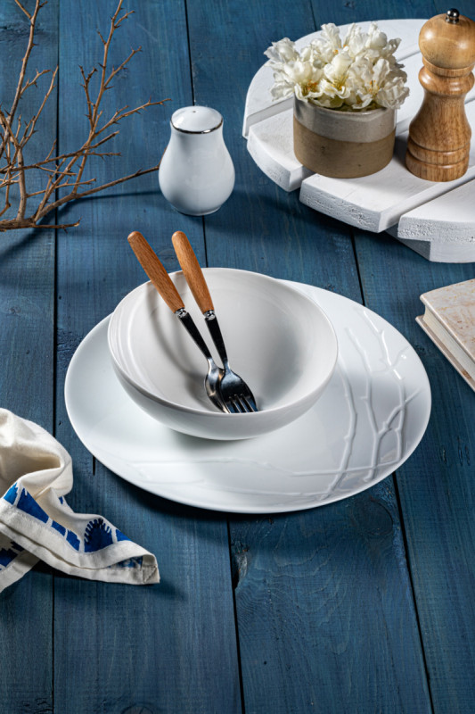 Assiette coupe plate rond blanc porcelaine vitrifiée Ø 22 cm Brushwood Astera