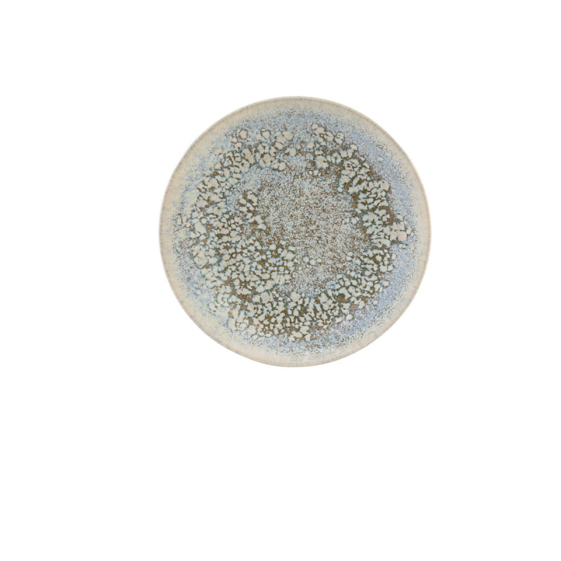 Assiette coupe plate rond grès émaillé Ø 21 cm Tropic Accolade