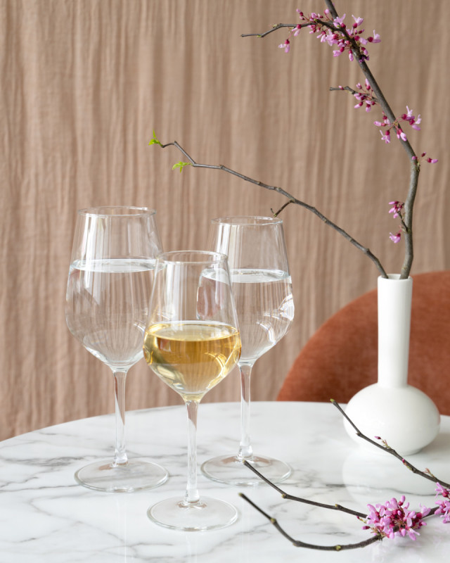 Verre à pied verre 45 cl Vasco Pro.mundi